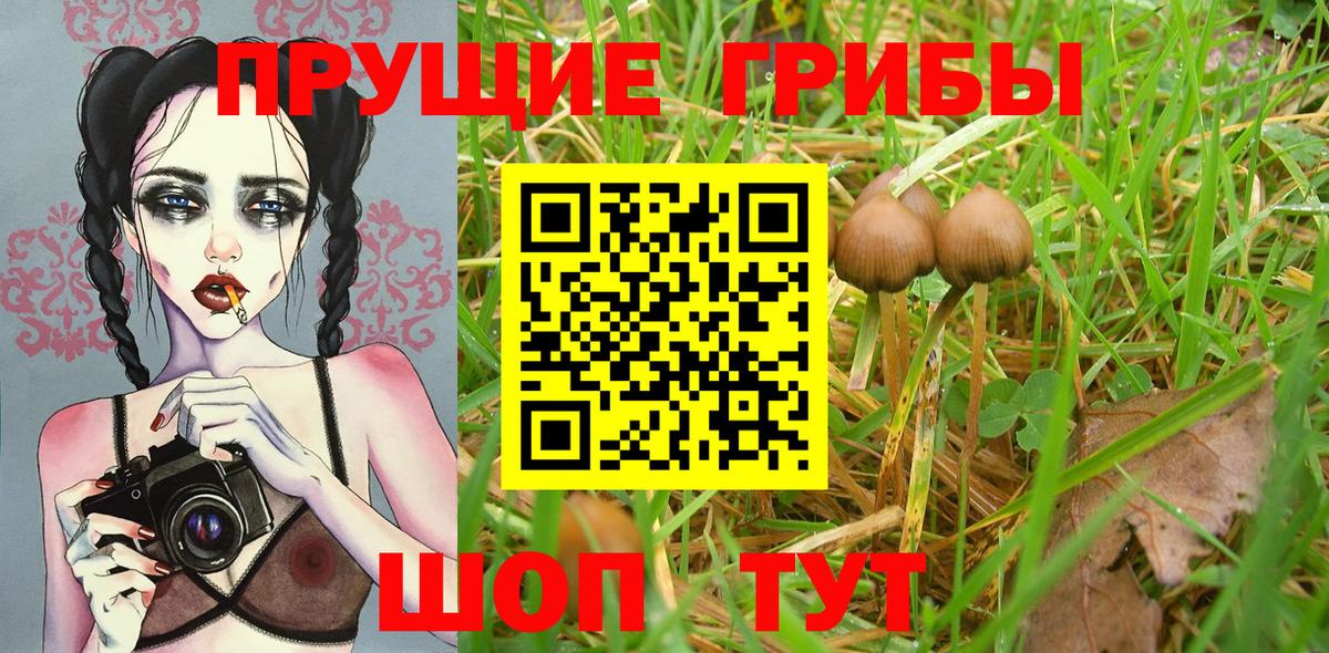 Галлюциногенные грибы прущие грибы Лысьва